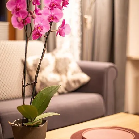 Apartment Haus Lupfer